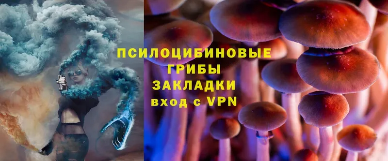 Галлюциногенные грибы Magic Shrooms  Данилов 